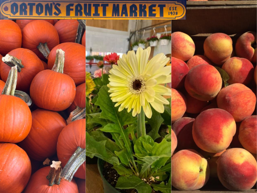 Something for Everyone…All Year Round